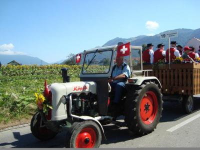 30. August 2009 Brauchtumsumzug Wangen 