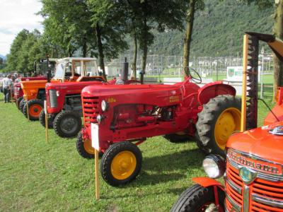 26-27. Juli 2014 Treffen in Iragna TI