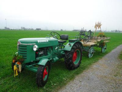 17. Oktober 2015 Dorfchilbi Benken